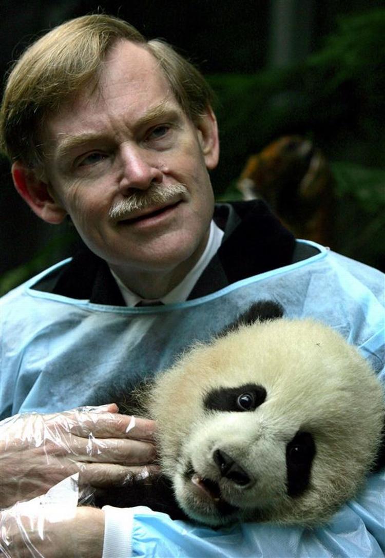 Robert Zoellick er Verdensbankens nye chef. Her sidder han med en fem måneder gammel panda. 