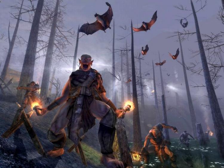En brigade orker overrasker ved midnatstide ikke langt fra landsbyen Bri. Sværhedsgraden i 'Lord of the Rings Online' er dog yderst overkommelige på de første 20 niveauer (ud af 50 mulige), så man skal virkelig blunde, før man dør. Gode engelskkundskaber er nødvendigt. 