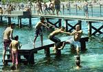 Vandhundenes dag ved Kastrup Strand