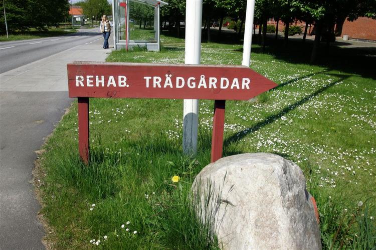 I terapihaven i den skånske by Alnarp får stressramte og deprimerede behandling gennem samtaler og havearbejde. En lignende have er på tegnebrættet i Danmark. 