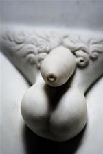 Penis