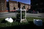 Organisationen Publik har stået bag en række kunstprojekter i det offentlige rum, her 'Hot summer of Urban Farming'. 