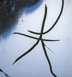 lox_himmelskud_1_16-06-2007_G32LU9G.jpg