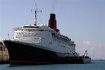 Cruise Virus
