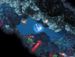 Hovedprisen på årets 'Independent Games Festival' i USA gik til undervandsspillet 'Aquaria', hvor man skal afdække sin egen historie via udforskning og magisk kamp i en fantasiverden med et alsidigt plante- og dyreliv. 