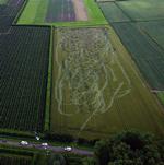 Det var ikke rumvæsner, der legede på marken i Dussen i det sydlige Holland. Blot en desperat kokain-sniffende flugtbilist. 
