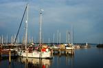 Lystbådehavn