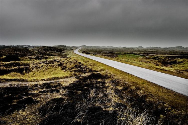 Næsten halvdelen af vildmarken i Thy bliver dårligere beskyttet af at blive nationalpark. 