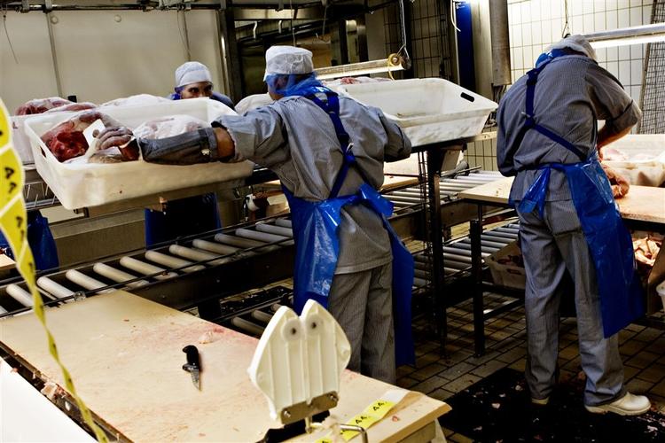 Polske medarbejdere kan i fremtiden frit hyres af arbejdsgivere, der har overenskomst. 
