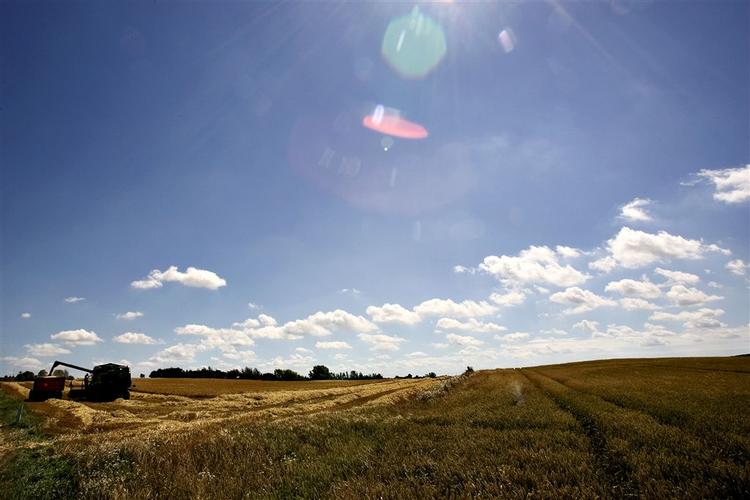 Sådan ser meget store dele af Danmark ud i dag. De radikale vil have landbruget til at holde op med at dyrke arealer, som i størrelse svarer til Sjælland, Lolland og Falster 