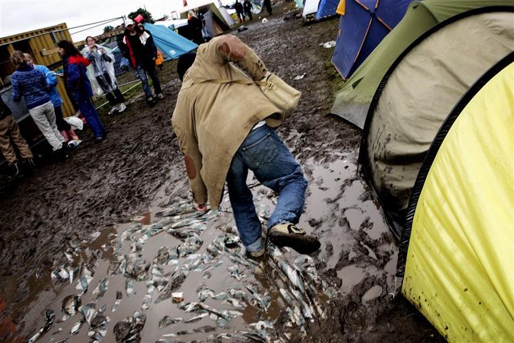 Det er lækkert at have tørre fødder i et par gummistøvler, hvis mudderet tager over. 