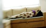stress_2_sandra_03-07-2007_972PSB1.jpg