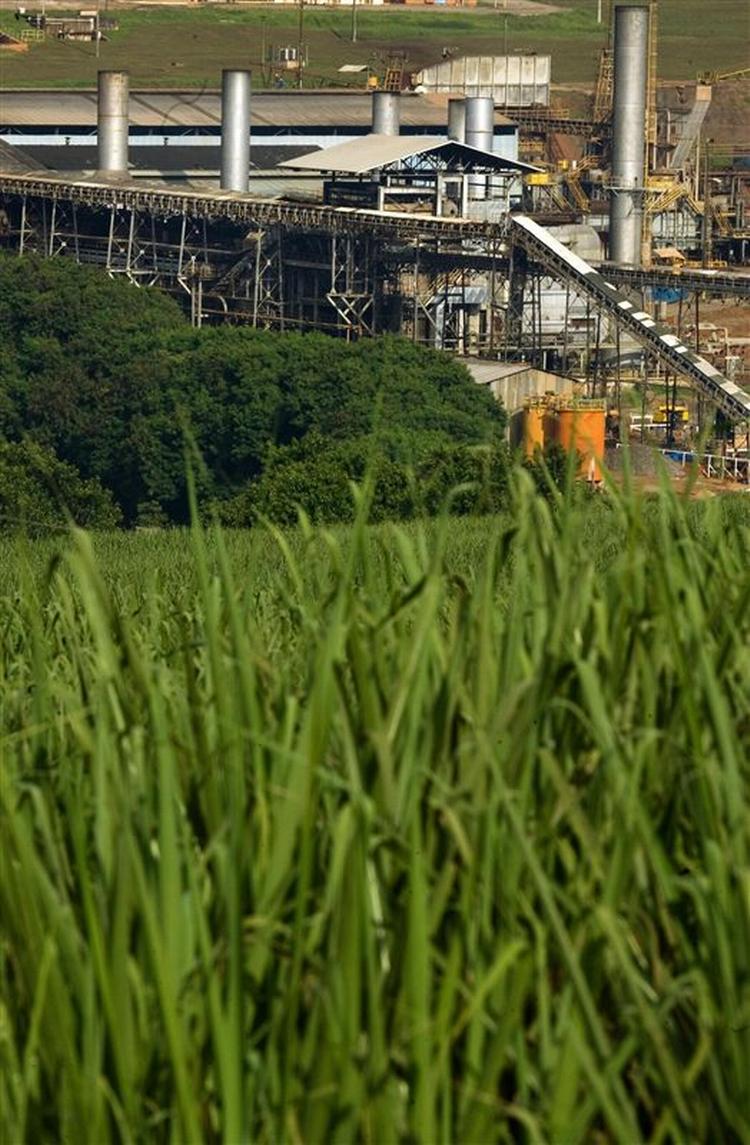 Fattige mennesker i Amazone området arbejder under slavelignende forhold for at dyrke sukkerrør til biobrændsel, der bliver brugt som brændsel i de brasilianske biler. 
