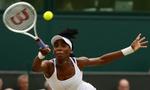 Venus Williams var nådesløs. 