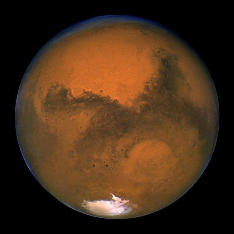 Nasa sender rumsonden Phoenix til den røde planet for at lede efter tegn på liv 