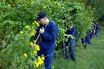 Politiet finkæmmer nu skoven, hvor Ylenias ejendele blev fundet 