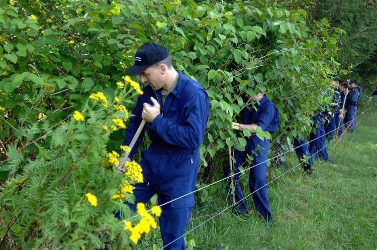 Politiet finkæmmer nu skoven, hvor Ylenias ejendele blev fundet 
