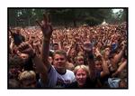 Ifølge festivalformanden er der ikke mange af de 25.000 billetter tilbage til Danmarks Smukkeste Festival. 