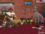 'Pet Stories' fjerner den klæbende materialistiske tankegang bag 'The Sims'-universet og erstatter den med to gode fortællinger om dyreliv. Sådan får man frafaldne 'The Sims'-fans tilbage til tastaturerne. 
