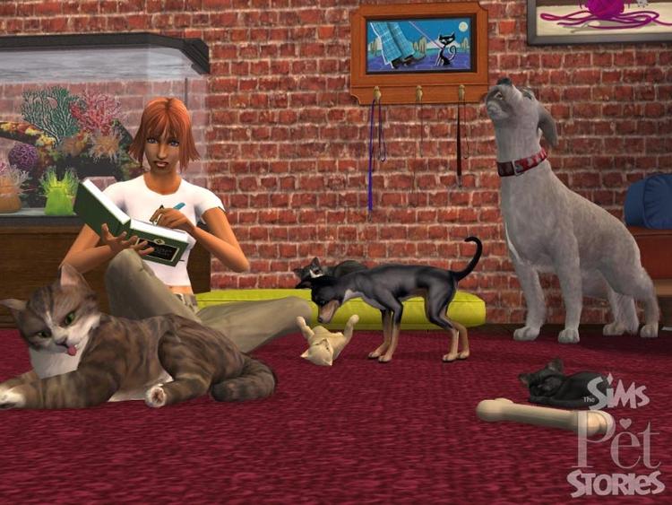 'Pet Stories' fjerner den klæbende materialistiske tankegang bag 'The Sims'-universet og erstatter den med to gode fortællinger om dyreliv. Sådan får man frafaldne 'The Sims'-fans tilbage til tastaturerne. 