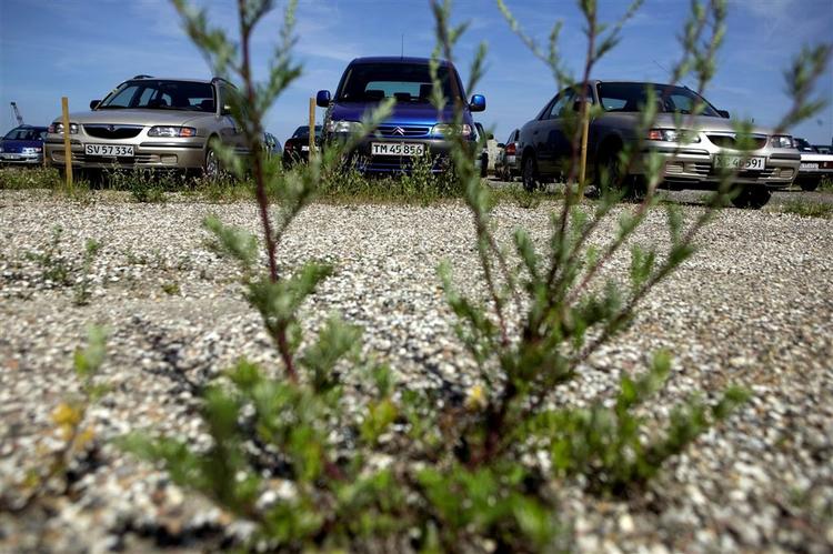 Arkivfoto: En af politiets teknikere blev afsløret af to røvere, da han ville sætte aflytningsudstyr på en bil på en parkeringsplads i Solrød. 