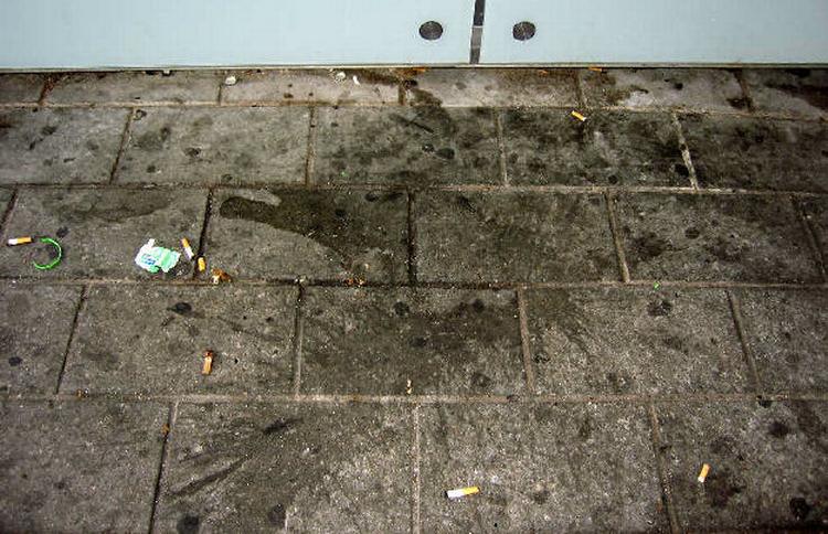 ørl. Andre stationer kan godt være med, men Vesterport har det hele: kakaomælk, opkast, øl, skråsovs, tyggegummi, afføring og alt det, som ingen aner, hvad er. Forhåbentlig lykkes det at få fredet S-togs-stationens perronoverflade. Privatfoto 