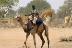En arabisk nomade mistænkt for at være janjaweed militsmedlem rider ind i Bindisi i Darfur. 