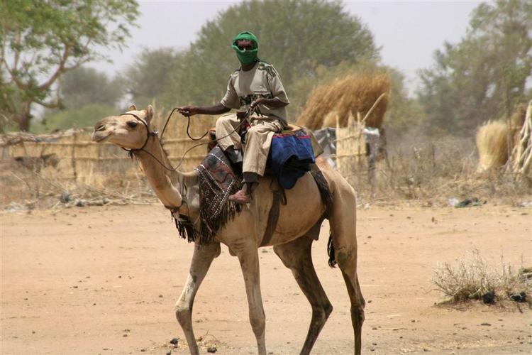 En arabisk nomade mistænkt for at være janjaweed militsmedlem rider ind i Bindisi i Darfur. 