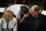 Socialdemokraternes ledelse med Helle Thorning-Schmidt og Carsten Hansen i front har svært ved at tiltrække støtte til partiet. 