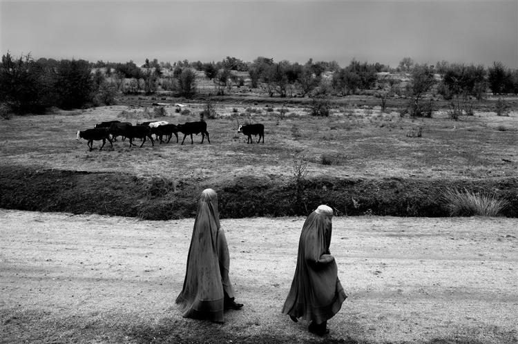 Afghanistan. Taleban genvinder terræn i det sydlige Afghanistan. Her et arkivbillede fra landsbyen Qalai Bibi nord for Kabul, hvor alle indbyggerne blev fordrevet af Taleban. 