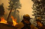San Bernardino brandvæsen i Californien forsøger at slukke brande, der er ude af kontrol. 