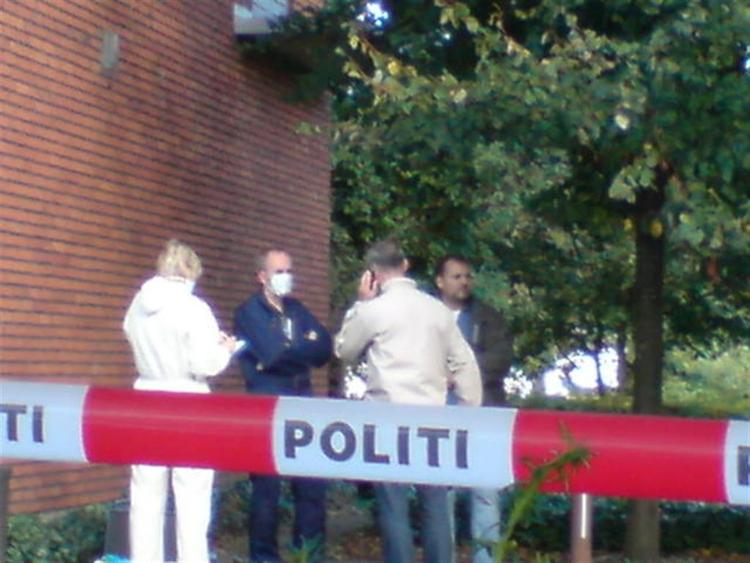 Politiet i Vejle arbejder i øjeblikket på h øjtryk for at finde flere spor af gerningsmændene. Nationalmuseet har sendt personale til Jelling for at bistå efterforskningen. 