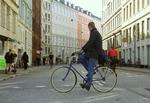 Elmegade på Nørrebro skal være grøn 