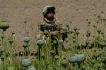 En soldat i Helmand-provinsen. 