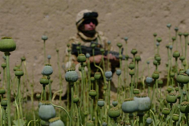 En soldat i Helmand-provinsen. 