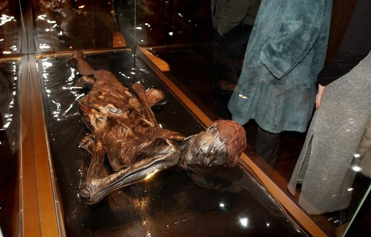 Grauballemanden lå godt 2.000 år i Nebelmose i Grauballe ved Silkeborg, før han i 1952 blev fundet og kørt til Moesgård Museum. 