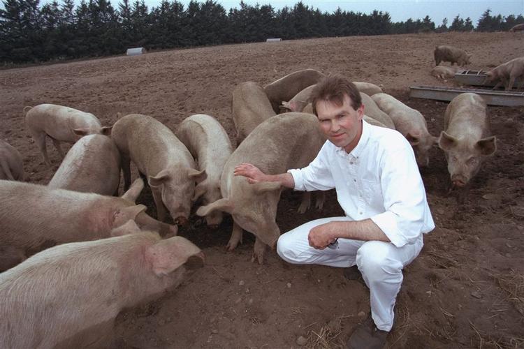 Grisene hos Hanegal har masser af plads at boltre sig på. 