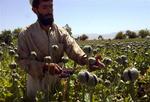 US Afghanistan