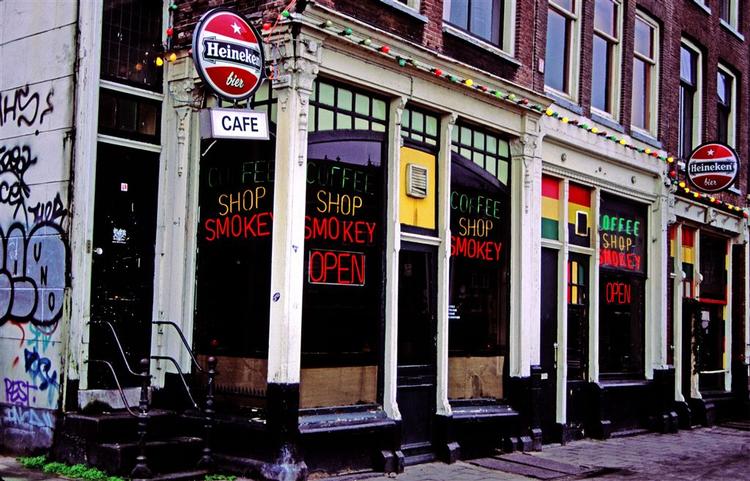 Amsterdams coffee shops vil fremover sørge for at æggene i deres hashkager ikke er buræg, men æg fra fritgående høns. 