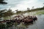 ps_uganda.3_07-10-2007_EA3CBF3