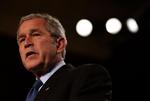 Bush