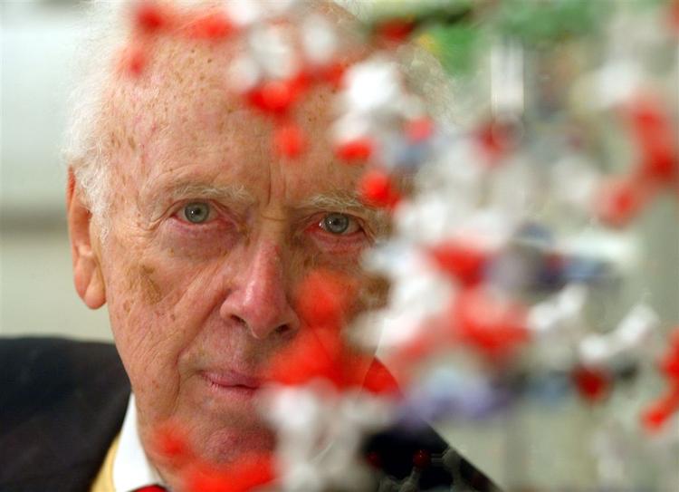 Dna-forskeren James Watson mener ikke afrikanere er lige så kloge som vesterlændinge. 