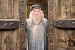 Dumbledore var forelsket i troldmanden Gellert Grindelwald, siger den 42-årige forfatter og milliardær. 