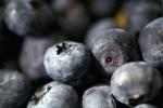 Blueberries.