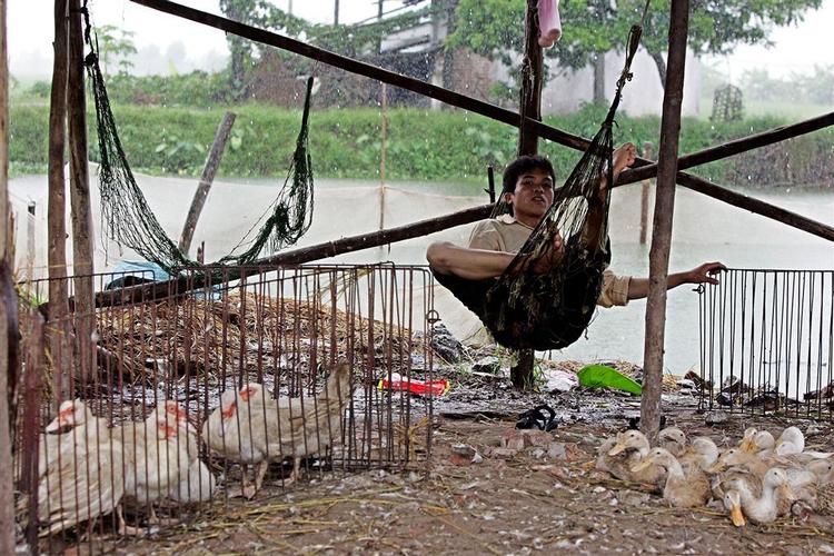 Vietnam og store dele af Asien har været hårdt ramt af fugleinfluenzaen. Nu frygtes virus at kunne overleve i raske dyr i Europa. 