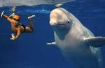 (Foto: AP) 