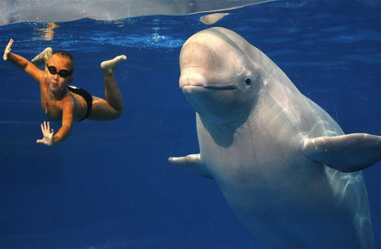 (Foto: AP) 