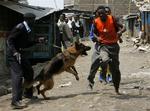 Politi forsøger at tilbageholde unge mænd under kampene i Mathara-slumområdet i Nairobi 7. juni. Mindst ti blev dræbt under kampene, og siden er flere hundrede lig blevet fundet i Nairobis skove. 