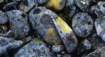 lox_hav2_10-11-2007_643M8PC.jpg