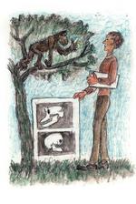 Illustration fra bogen 